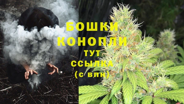 гидропоника Нефтегорск