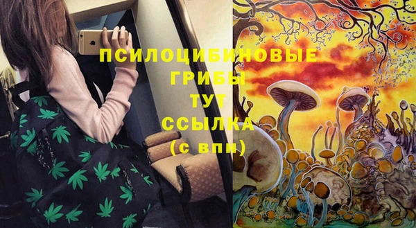 эйфоретик Новозыбков