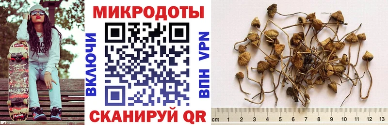 Псилоцибиновые грибы GOLDEN TEACHER  Петров Вал 